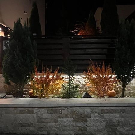 Garden Apart Predeal Luaran gambar